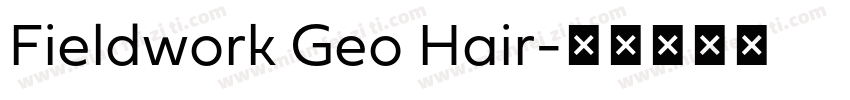 Fieldwork Geo Hair字体转换